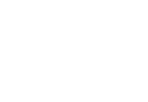 Logo DF Industrie